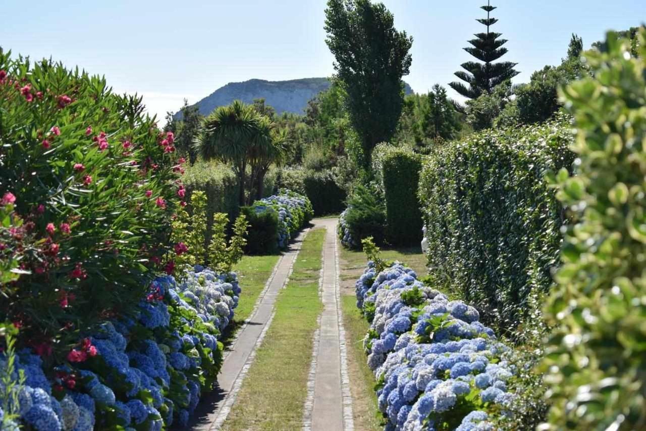 Quinta Da Meia Eira Castelo Branco  Exteriér fotografie