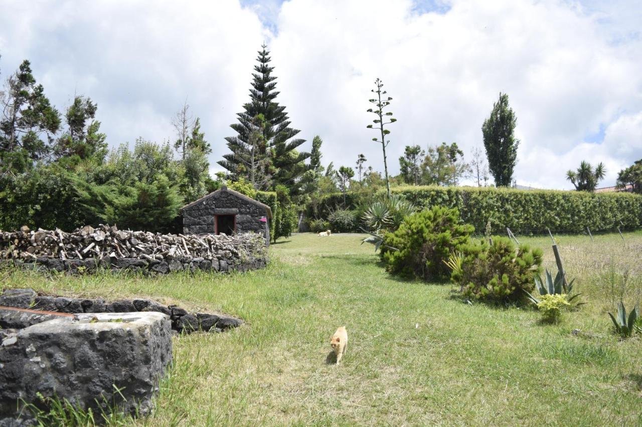 Quinta Da Meia Eira Castelo Branco  Exteriér fotografie