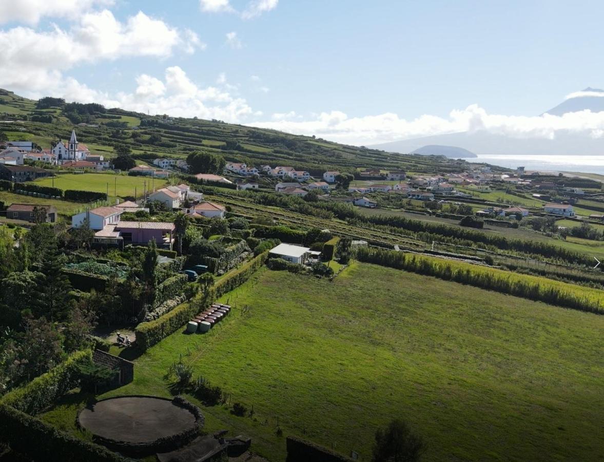 Quinta Da Meia Eira Castelo Branco  Exteriér fotografie